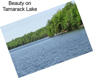 Beauty on Tamarack Lake