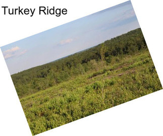 Turkey Ridge