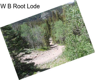 W B Root Lode