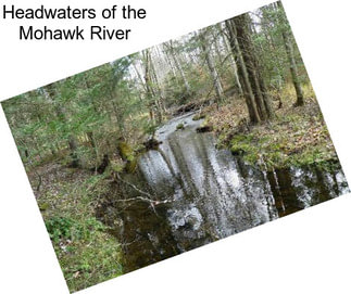 Headwaters of the Mohawk River