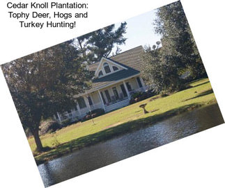 Cedar Knoll Plantation: Tophy Deer, Hogs and Turkey Hunting!