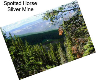 Spotted Horse Silver Mine