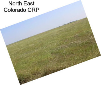 North East Colorado CRP