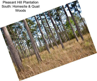 Pleasant Hill Plantation South: Homesite & Quail Woods