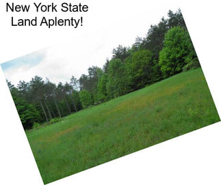 New York State Land Aplenty!