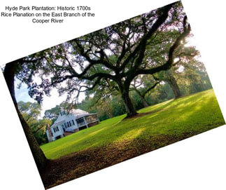 Hyde Park Plantation: Historic 1700s Rice Planation on the East Branch of the Cooper River