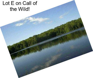 Lot E on Call of the Wild!