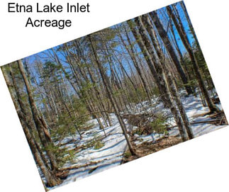 Etna Lake Inlet Acreage