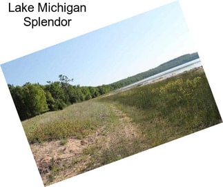 Lake Michigan Splendor