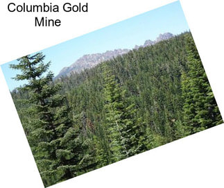 Columbia Gold Mine
