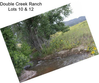 Double Creek Ranch Lots 10 & 12