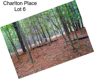 Charlton Place Lot 6