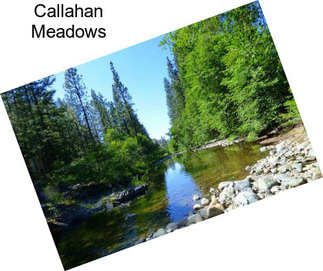 Callahan Meadows