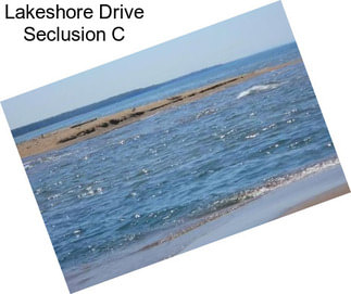 Lakeshore Drive Seclusion C