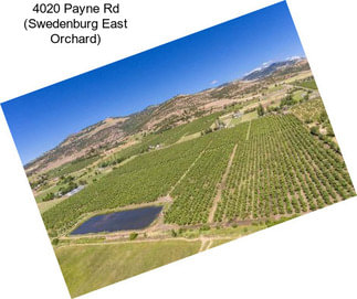 4020 Payne Rd (Swedenburg East Orchard)