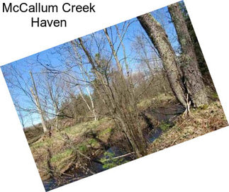 McCallum Creek Haven