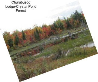 Churubusco Lodge-Crystal Pond Forest