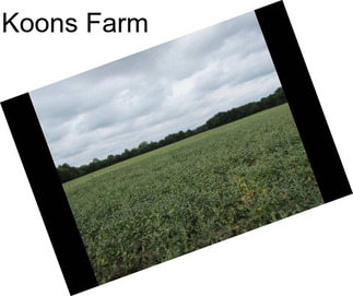 Koons Farm