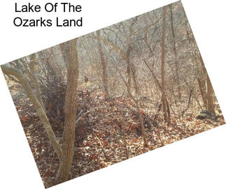 Lake Of The Ozarks Land