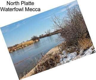 North Platte Waterfowl Mecca