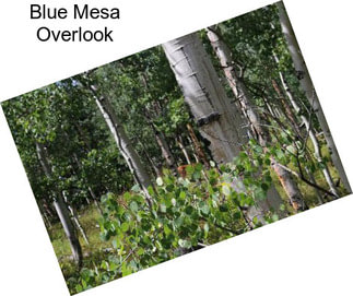 Blue Mesa Overlook