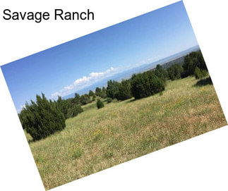 Savage Ranch