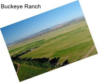 Buckeye Ranch
