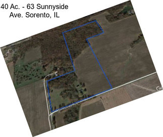 40 Ac. - 63 Sunnyside Ave. Sorento, IL