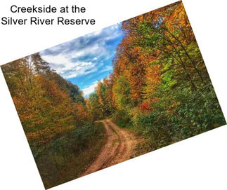 Creekside at the Silver River Reserve