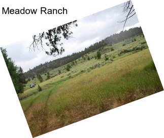 Meadow Ranch