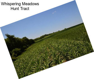 Whispering Meadows Hunt Tract