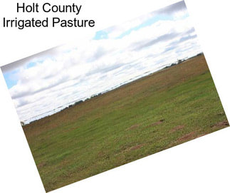 Holt County Irrigated Pasture