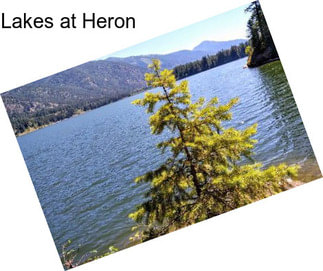 Lakes at Heron