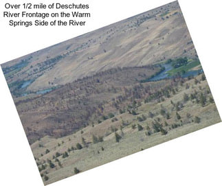 Over 1/2 mile of Deschutes River Frontage on the Warm Springs Side of the River