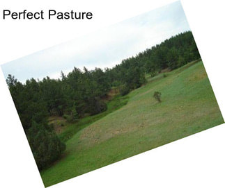 Perfect Pasture