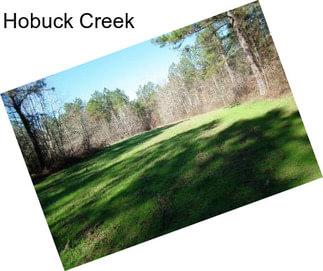 Hobuck Creek