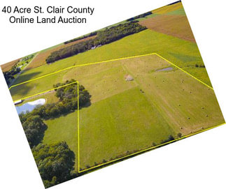 40 Acre St. Clair County Online Land Auction