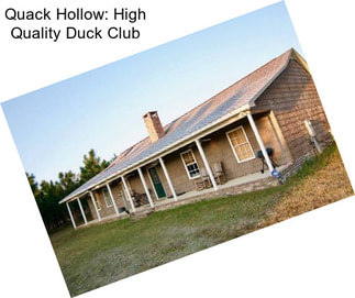 Quack Hollow: High Quality Duck Club