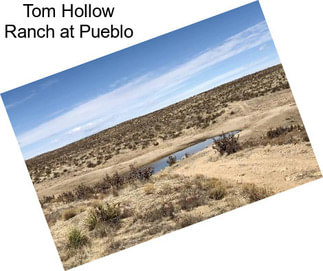 Tom Hollow Ranch at Pueblo