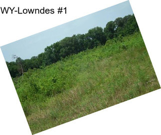 WY-Lowndes #1