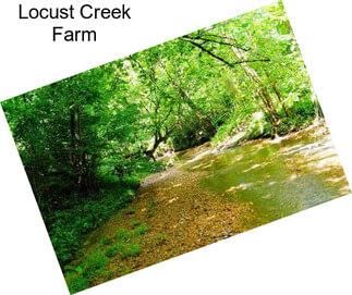 Locust Creek Farm