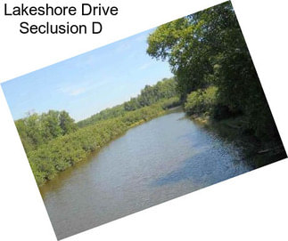 Lakeshore Drive Seclusion D