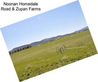 Noonan Homedale Road & Zupan Farms