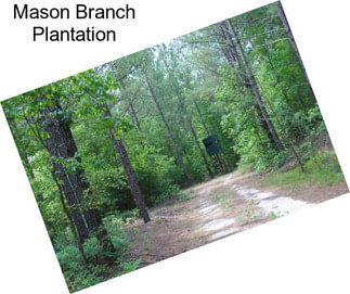 Mason Branch Plantation
