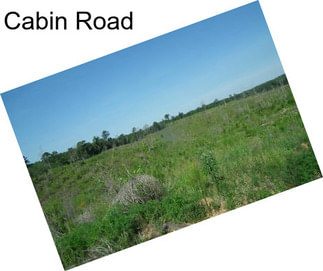 Cabin Road