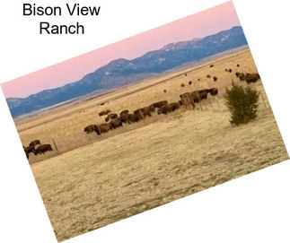 Bison View Ranch