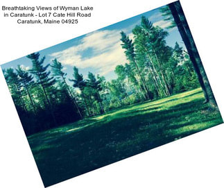 Breathtaking Views of Wyman Lake in Caratunk - Lot 7 Cate Hill Road Caratunk, Maine 04925