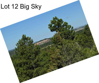 Lot 12 Big Sky
