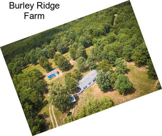Burley Ridge Farm