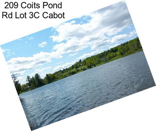 209 Coits Pond Rd Lot 3C Cabot